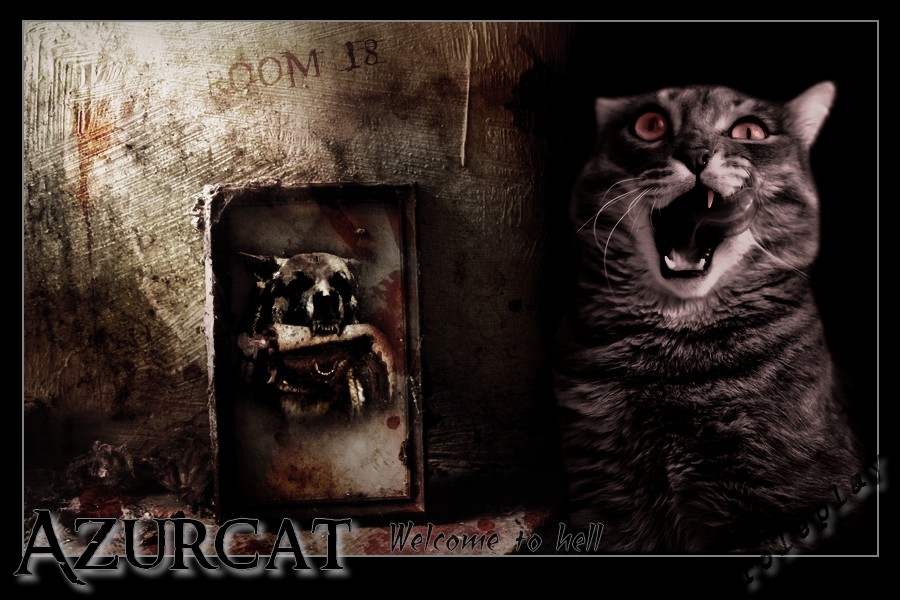 Az-r-Cat || Welcome to Hell